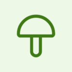 Anti Fungal medicines category icon