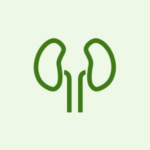 Kidney medicines category icon